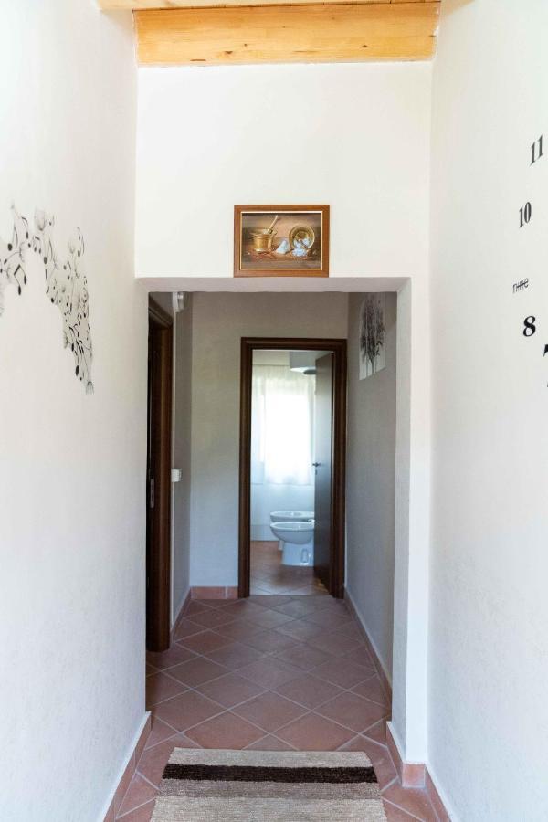B&B Aria Antica Verbicaro Zewnętrze zdjęcie